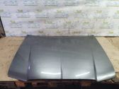 Engine bonnet/hood