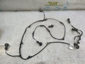 Kabelbaum Leitungssatz Einparkhilfe Parktronic PDC