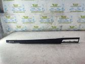 Front door trim (molding)