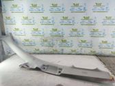 Front door trim (molding)