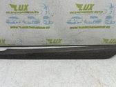 Front door trim (molding)