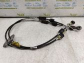 Faisceau de câblage pour installation électrique