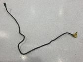 Manguera/tubo del embrague