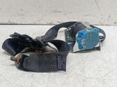 Set of seat belts