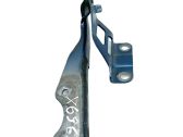 Tailgate/trunk/boot hinge