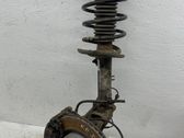 Front wheel hub spindle knuckle