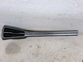 Other sill/pillar trim element