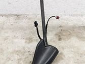 Radion antenni