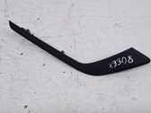 Rear door trim (molding)