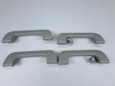 A set of handles for the ceiling