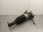 Rear shock absorber/damper