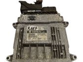 Calculateur moteur ECU