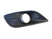 Front fog light trim/grill