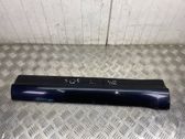 Rear door trim (molding)