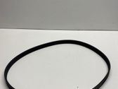Alternator belt