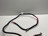 Wires (generator/alternator)