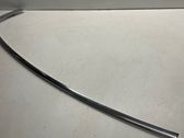 Rear door glass trim molding