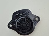 Panel speaker