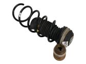Front coil spring