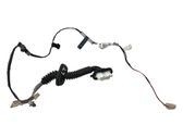 Rear door wiring loom