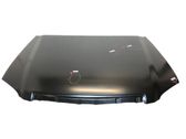 Motorhaube