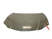 Motorhaube