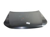 Motorhaube
