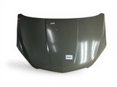 Motorhaube
