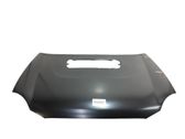 Engine bonnet/hood