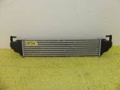 Intercooler radiator