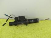 Front shock absorber/damper