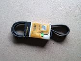 Alternator belt