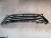 Front bumper lower grill