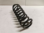 Rear coil spring