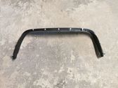 (B) pillar trim (bottom)