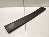 Rear door trim (molding)