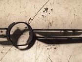 Front fog light trim/grill