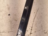 Trunk door license plate light bar