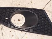 Front bumper lower grill