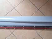 Front door trim (molding)