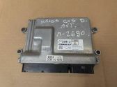 Engine control unit/module ECU