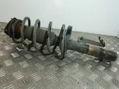 Front shock absorber with coil spring