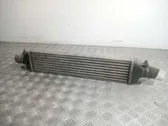 Intercooler radiator