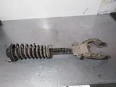 Front shock absorber with coil spring