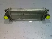 Intercooler radiator