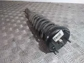 Rear shock absorber/damper