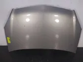 Engine bonnet/hood