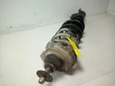 Front shock absorber with coil spring