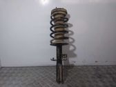 Front shock absorber with coil spring