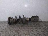Amortiguador delantero con muelle espiral